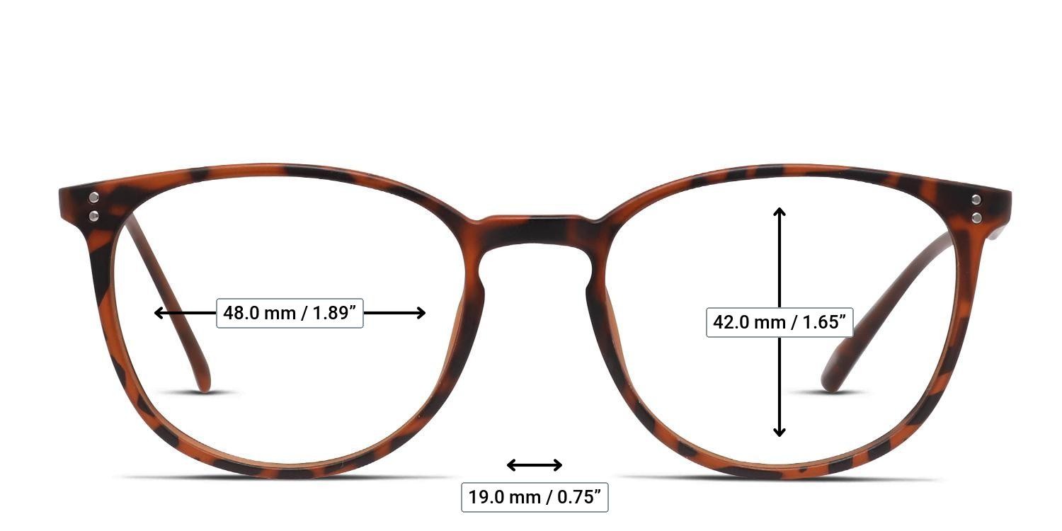 Ottoto Weston Tortoise glasses - Measurements