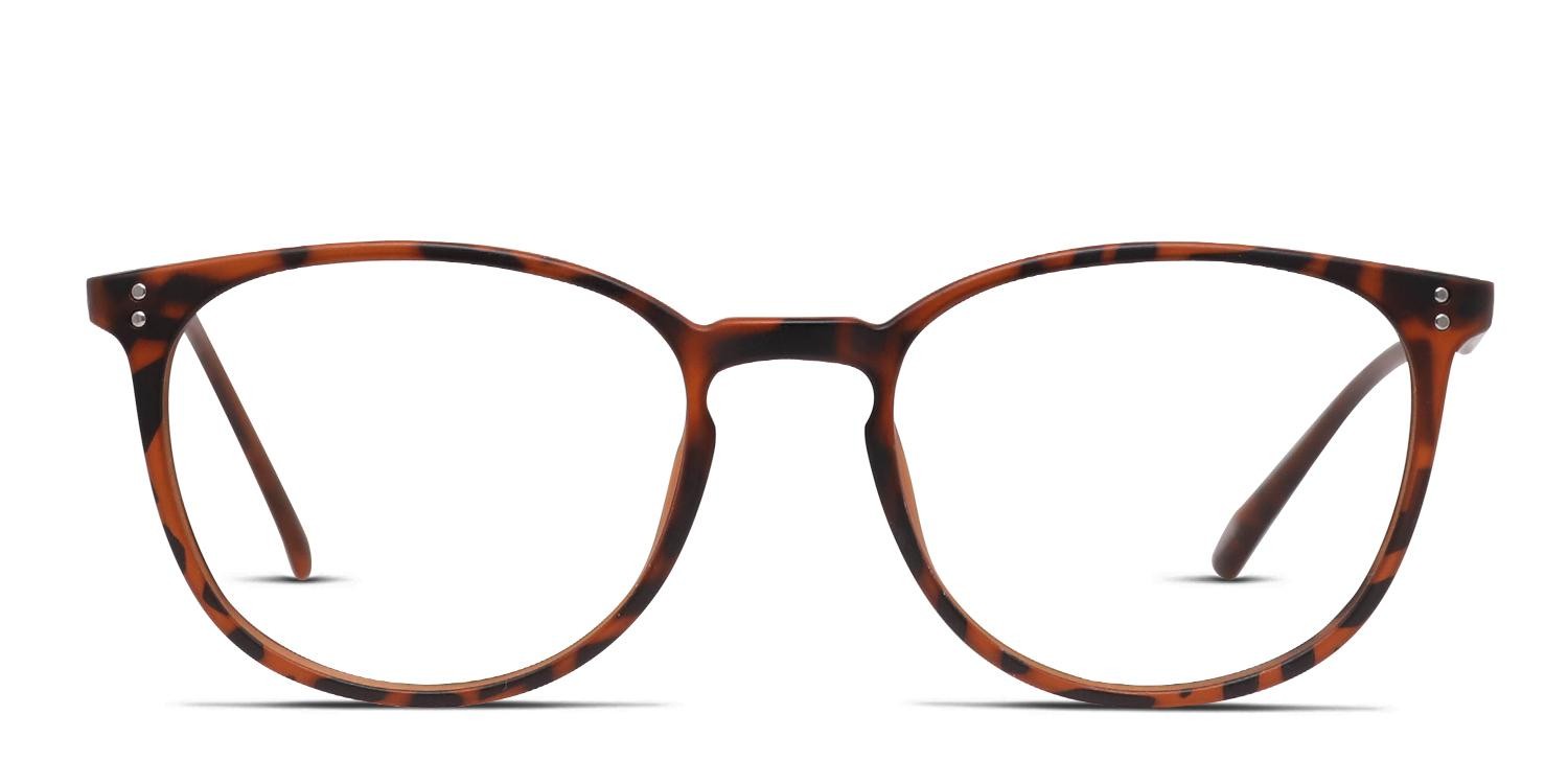 Ottoto Weston Tortoise glasses - Tortoise - Frontal View