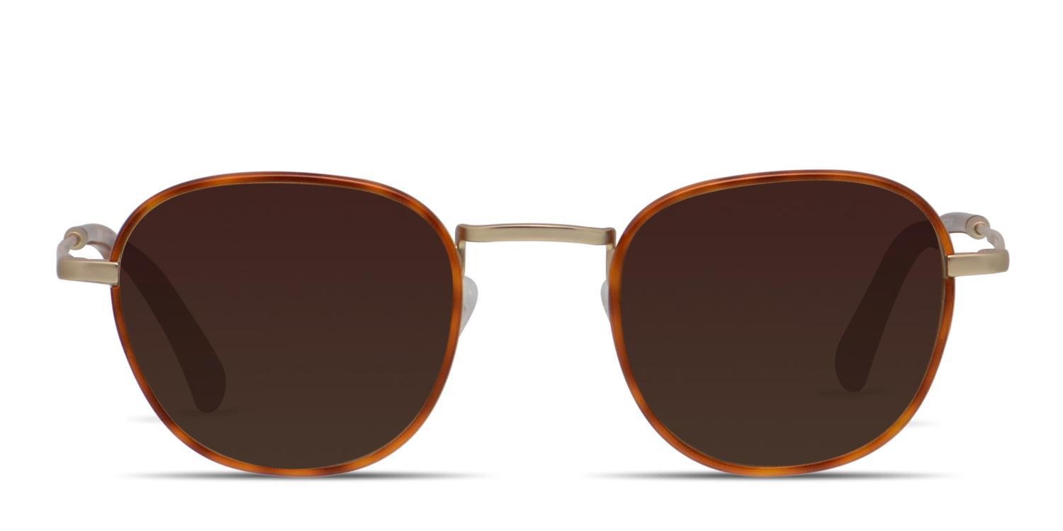 Muse Missoula Tortoise, Gold glasses - Tortoise / Gold - Frontal View