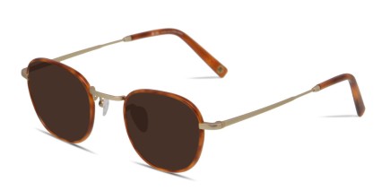 Muse Missoula Tortoise, Gold glasses - Tortoise / Gold - Angle View