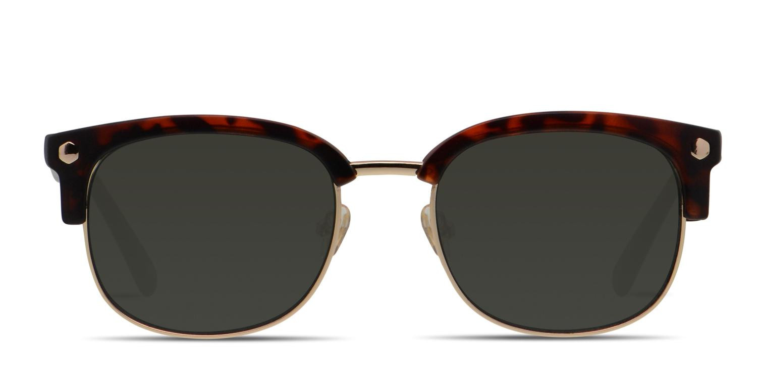 Muse Elliot Tortoise, Gold glasses - Tortoise / Gold - Frontal View