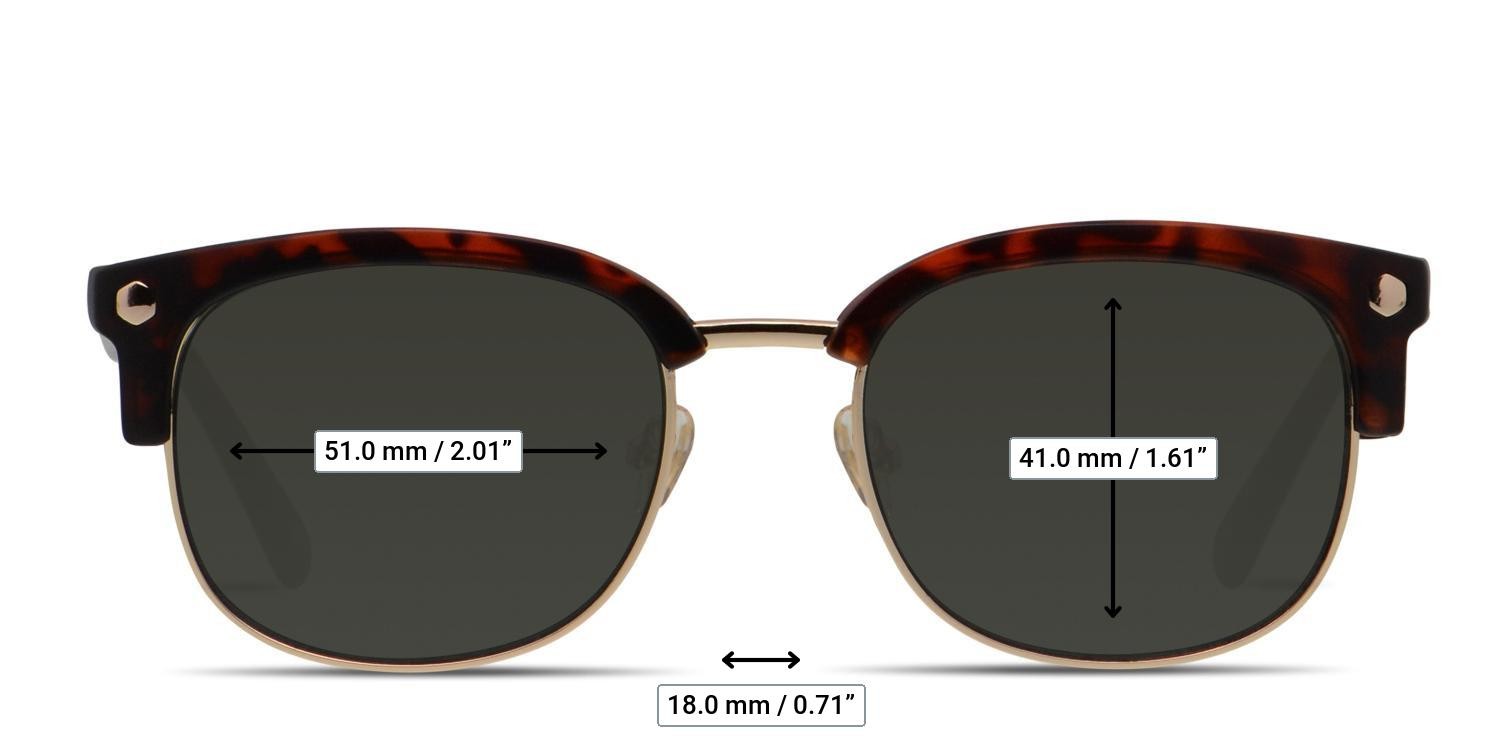 Muse Elliot Tortoise, Gold glasses - Measurements
