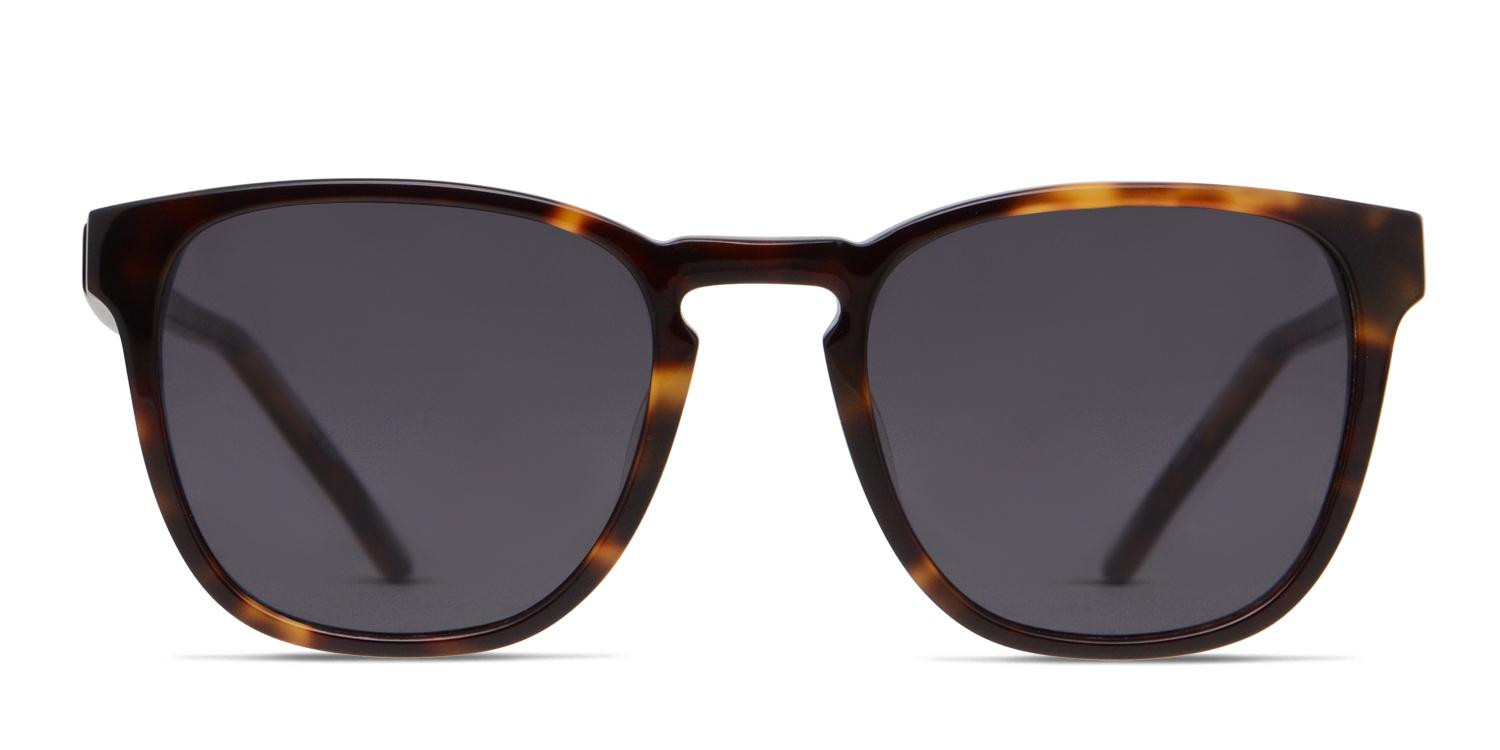 Muse Isaac Brown, Tortoise glasses - Brown / Tortoise - Frontal View