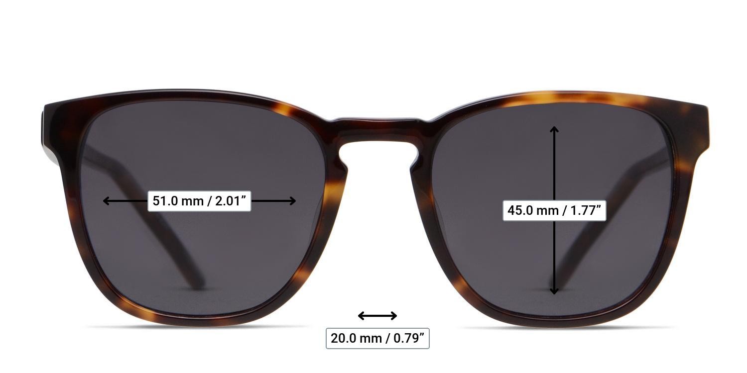 Muse Isaac Brown, Tortoise glasses - Measurements