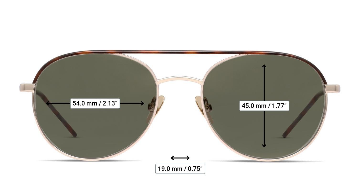 Ottoto Veyron Gold, Totoise glasses - Measurements
