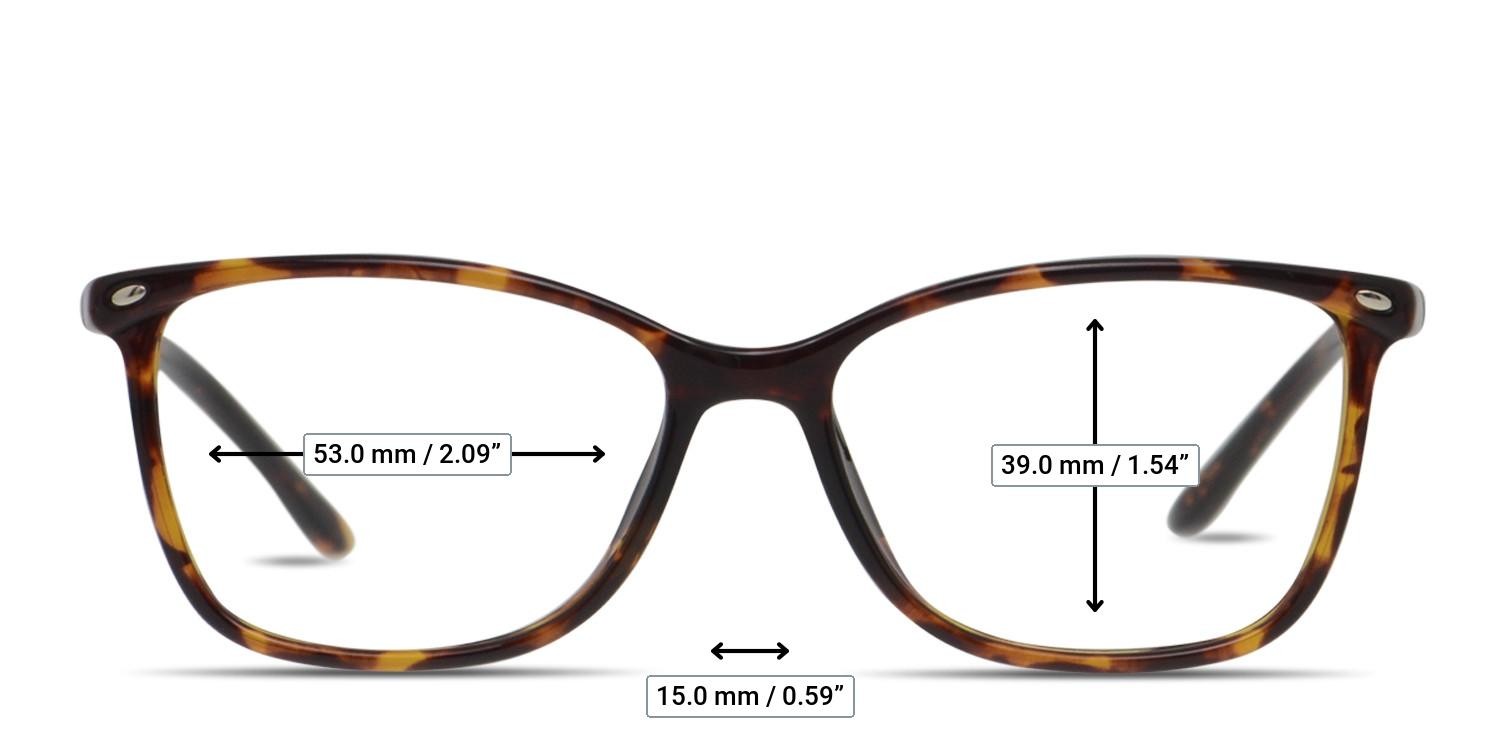 Amelia E. Nettle Tortoise glasses - Measurements