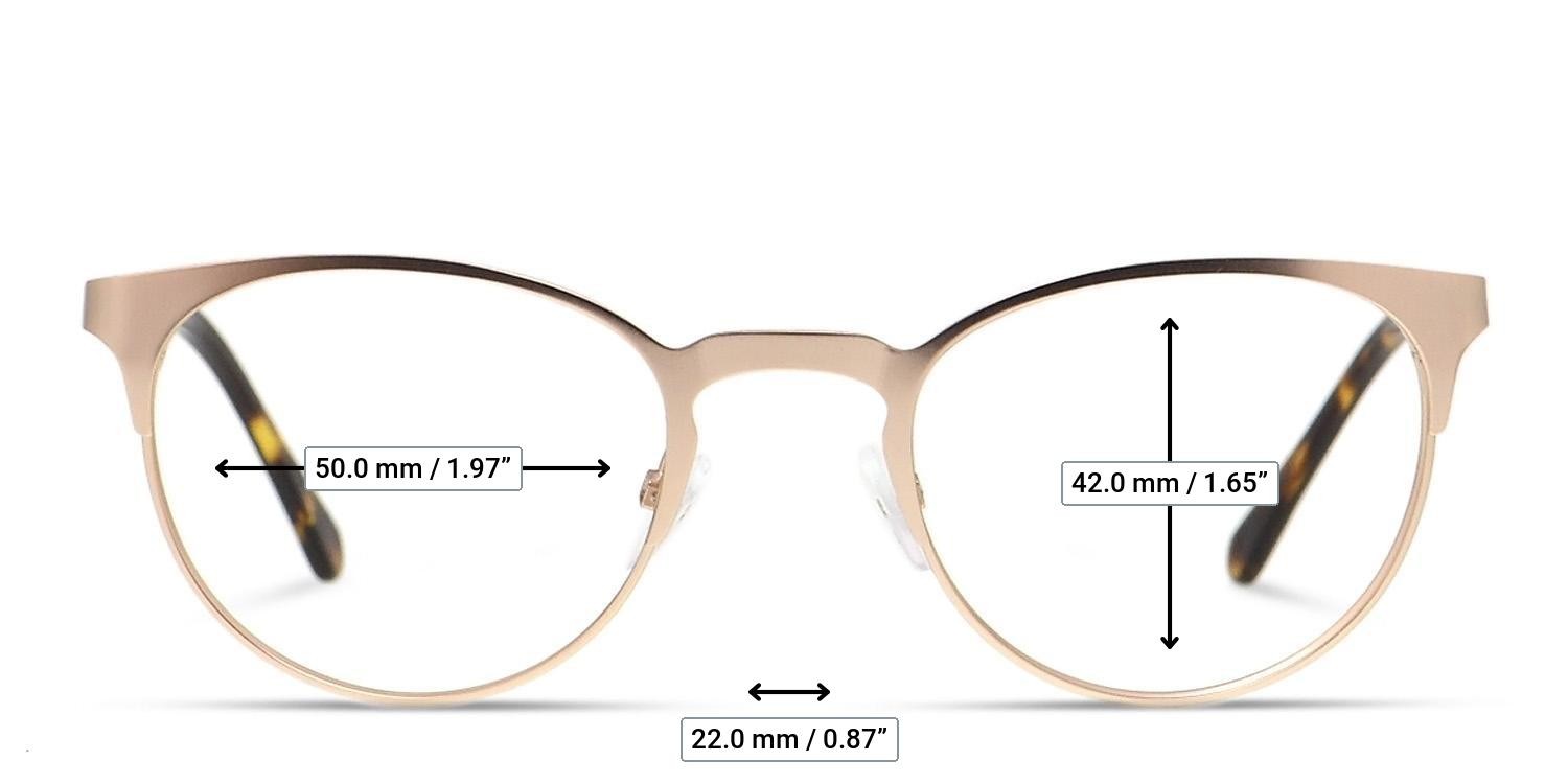 Ottoto Nicoletto Gold, Tortoise glasses - Measurements