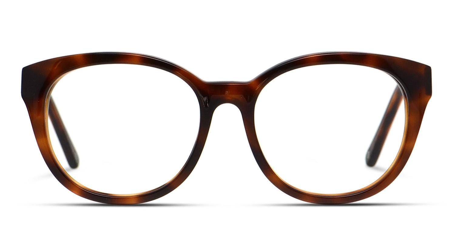 Muse Fantasista Tortoise glasses - Tortoise - Frontal View