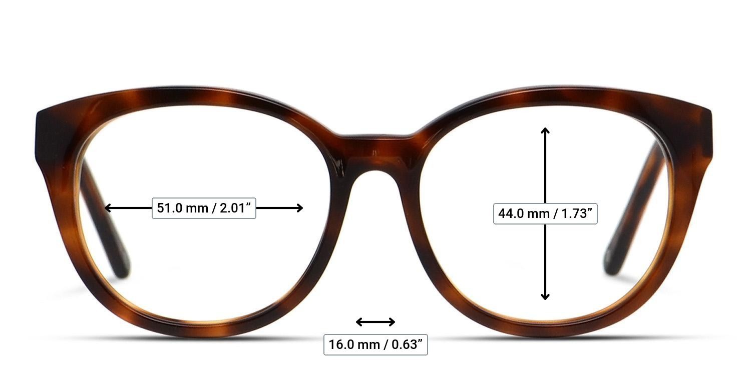 Muse Fantasista Tortoise glasses - Measurements