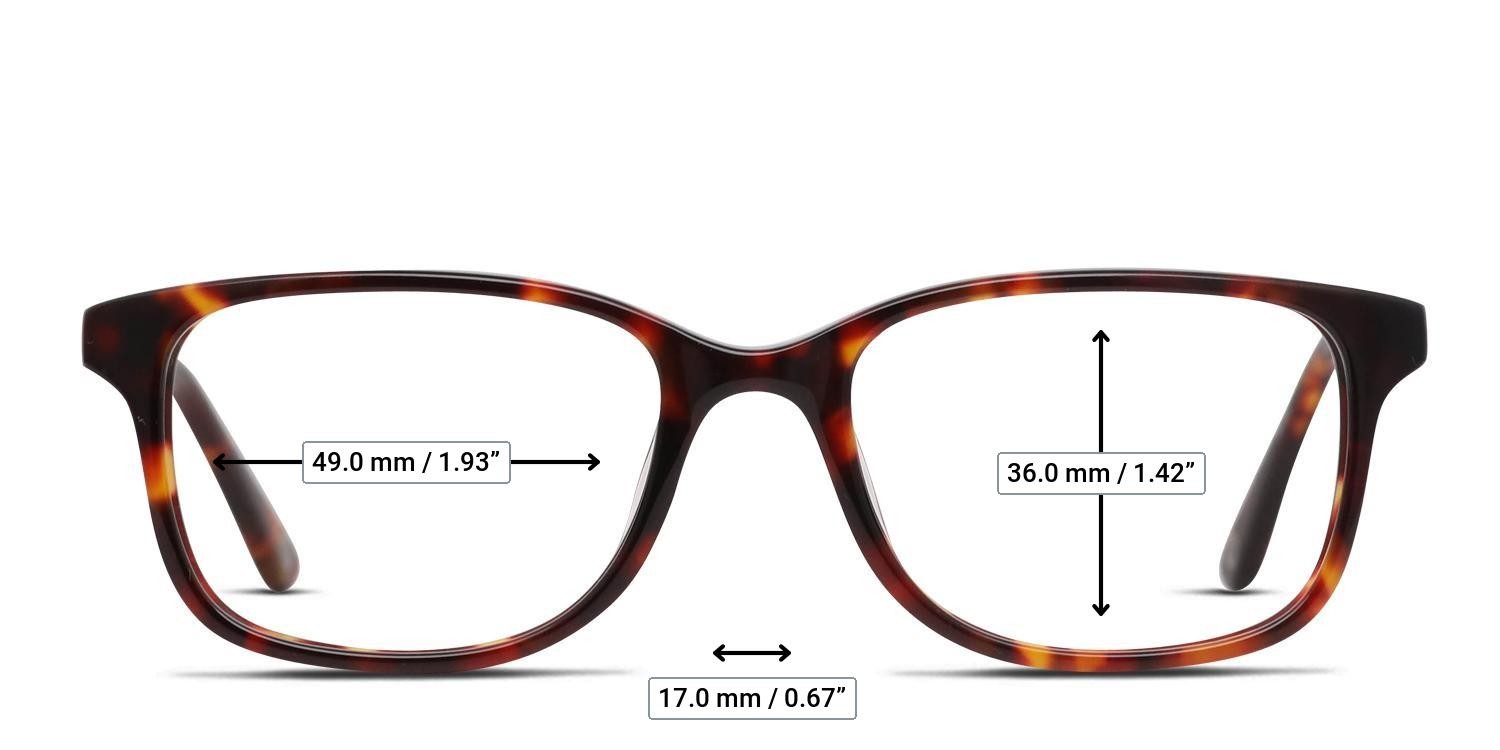 Muse Arizona Tortoise glasses - Measurements