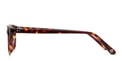 Muse Arizona Tortoise glasses - Tortoise - Side View