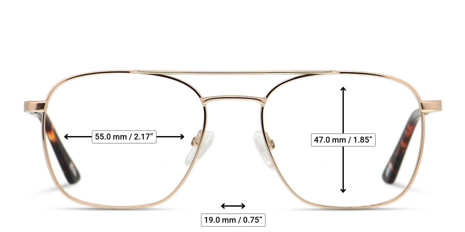 Ottoto Darcio Gold glasses - Measurements