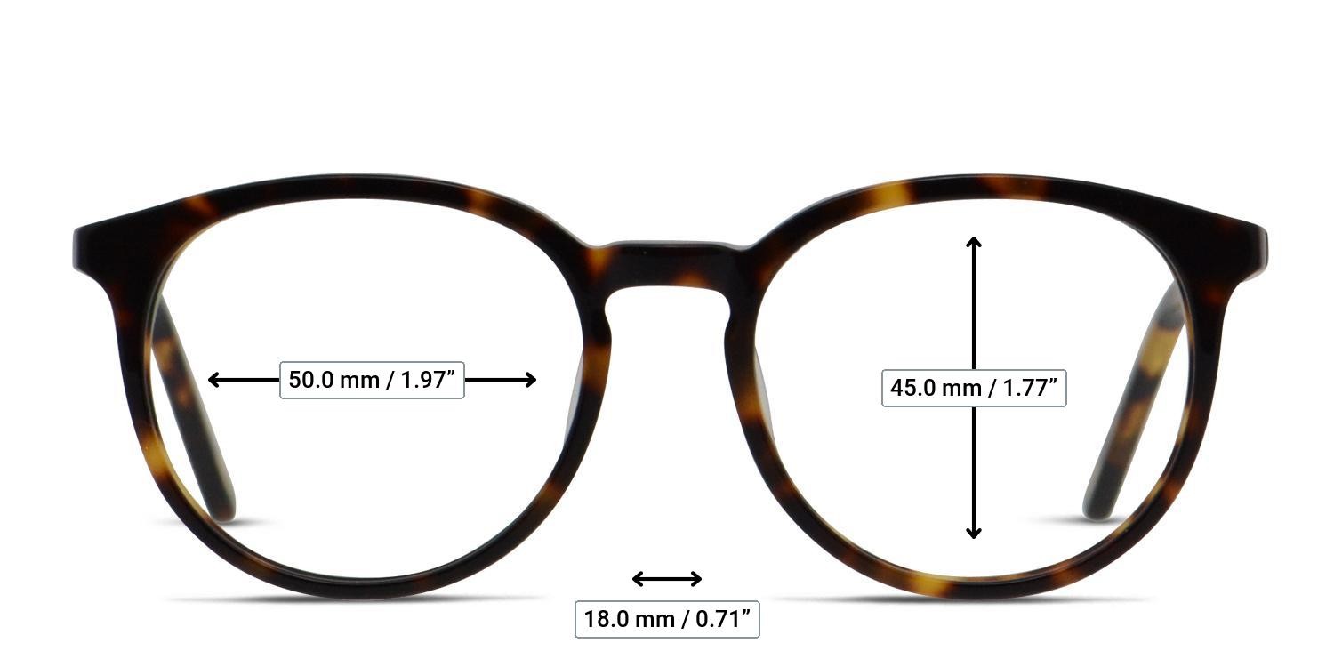 Ottoto Piero Brown, Tortoise glasses - Measurements