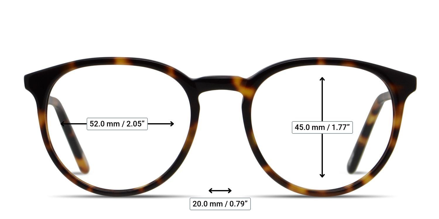 Ottoto Piero Brown, Tortoise glasses - Measurements