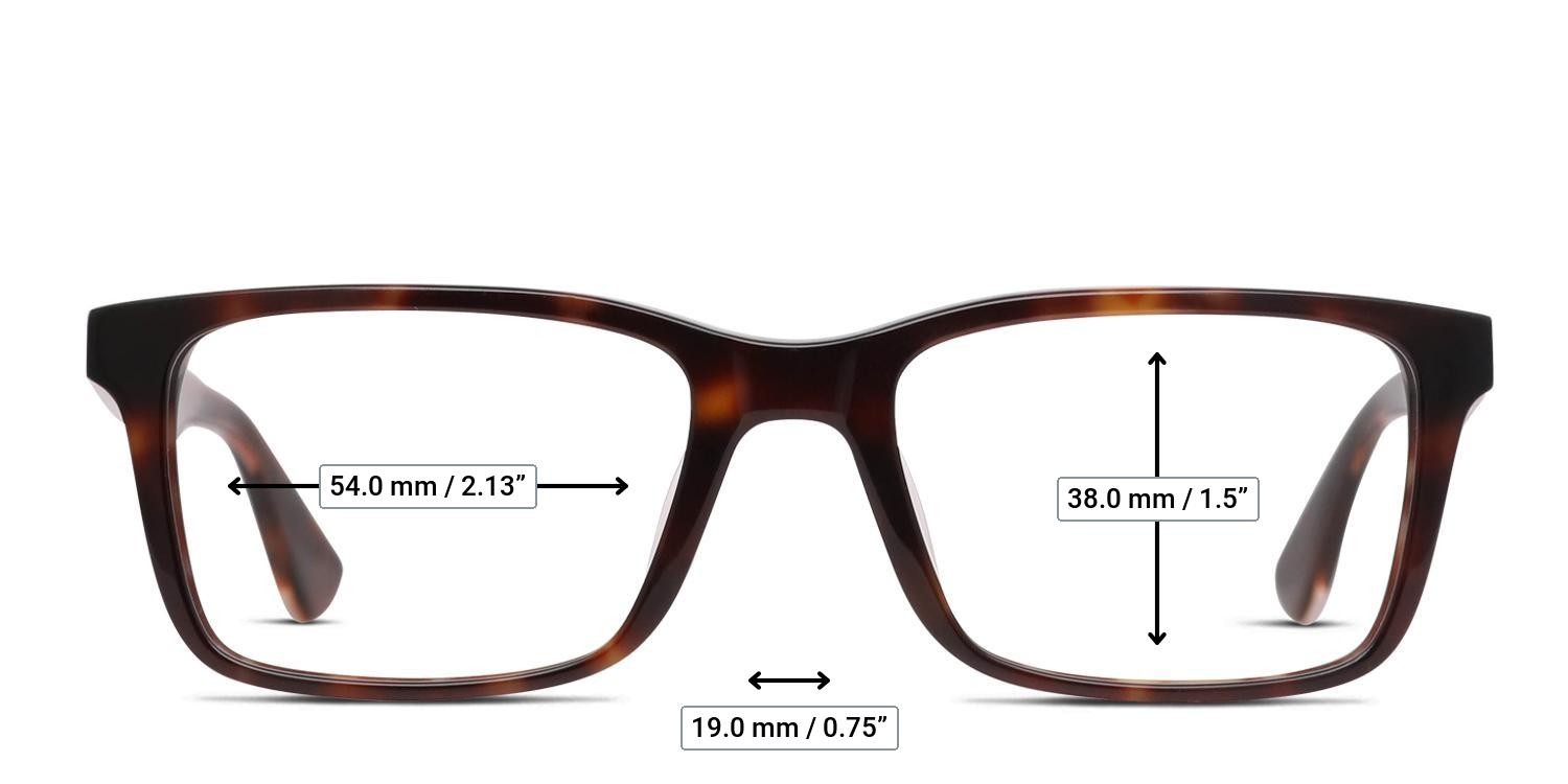 Von Miller x GlassesUSA.com Strongside Brown, Tortoise glasses - Measurements