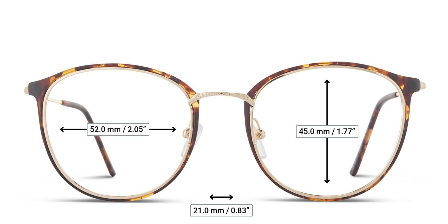 Ottoto Bellona Tortoise, Gold glasses - Measurements