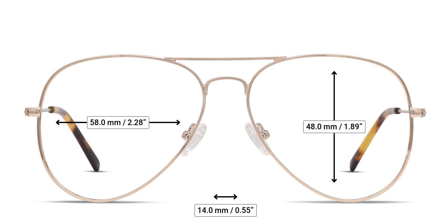 Ottoto Magnus Gold glasses - Measurements