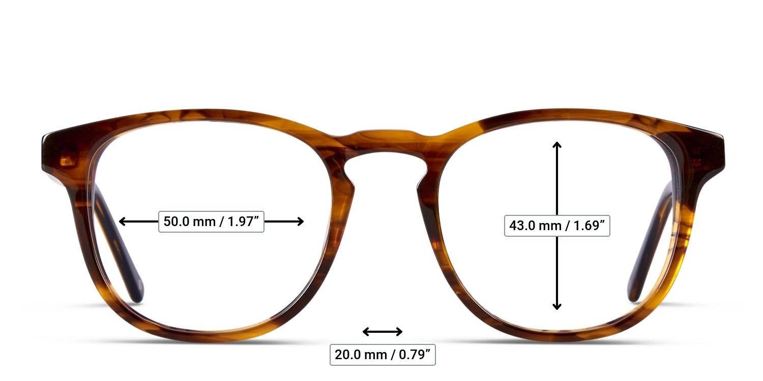 Muse Brenner Tortoise glasses - Measurements