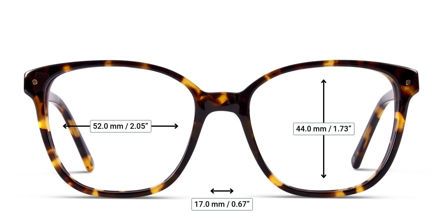 Muse Hopper Tortoise glasses - Measurements