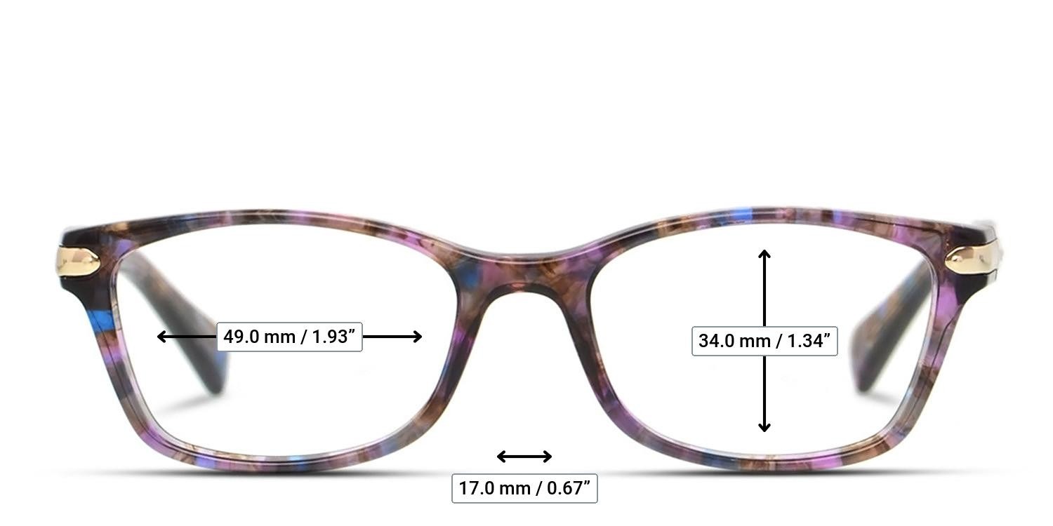 Coach HC6065 Tortoise, Purple, Multicolor glasses - Measurements