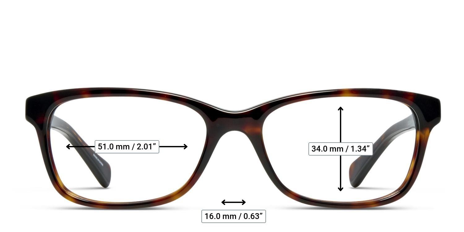 Coach HC6089 Tortoise glasses - Measurements