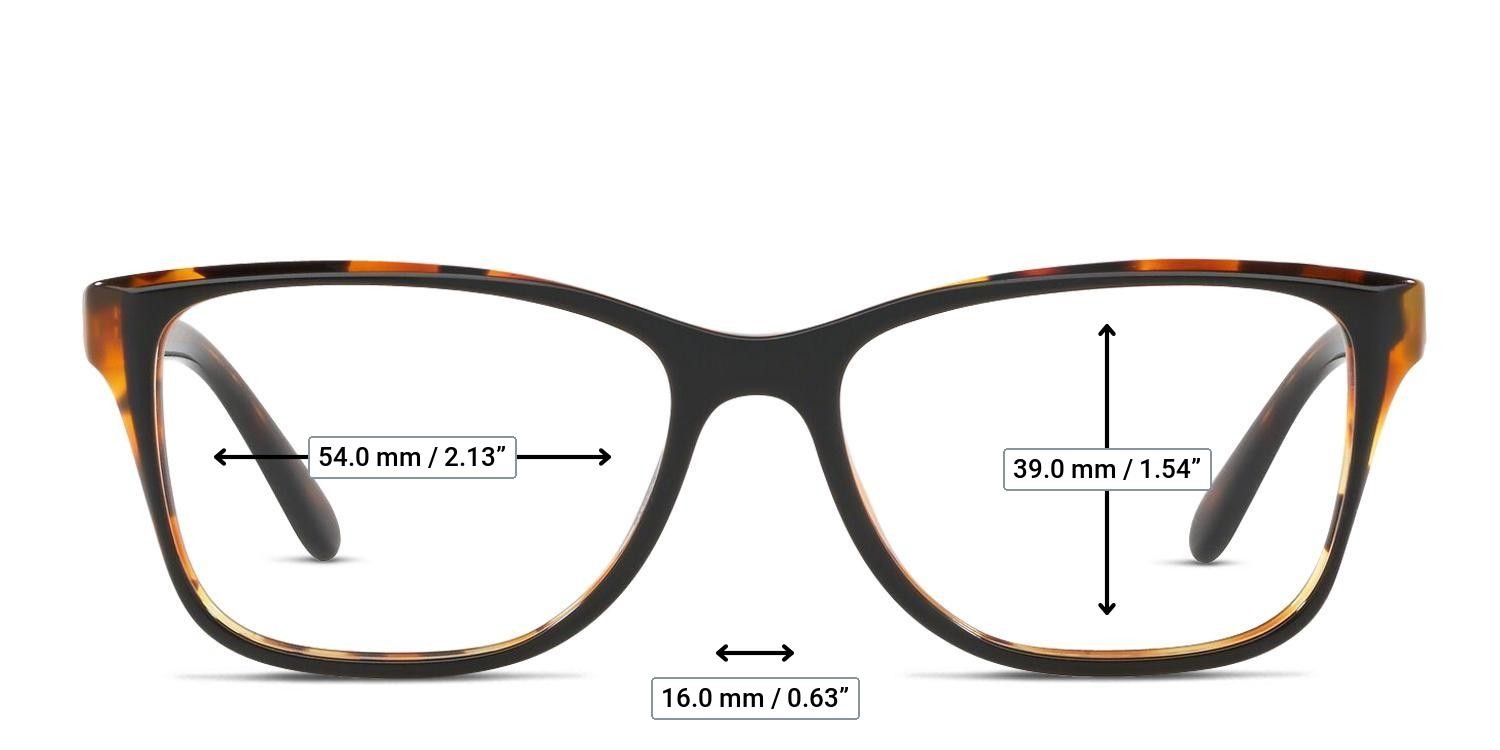 Coach HC6129 Black, Tortoise glasses - Measurements