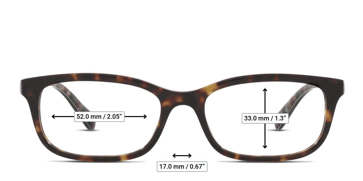 Coach HC6174 Brown, Tortoise glasses - Measurements