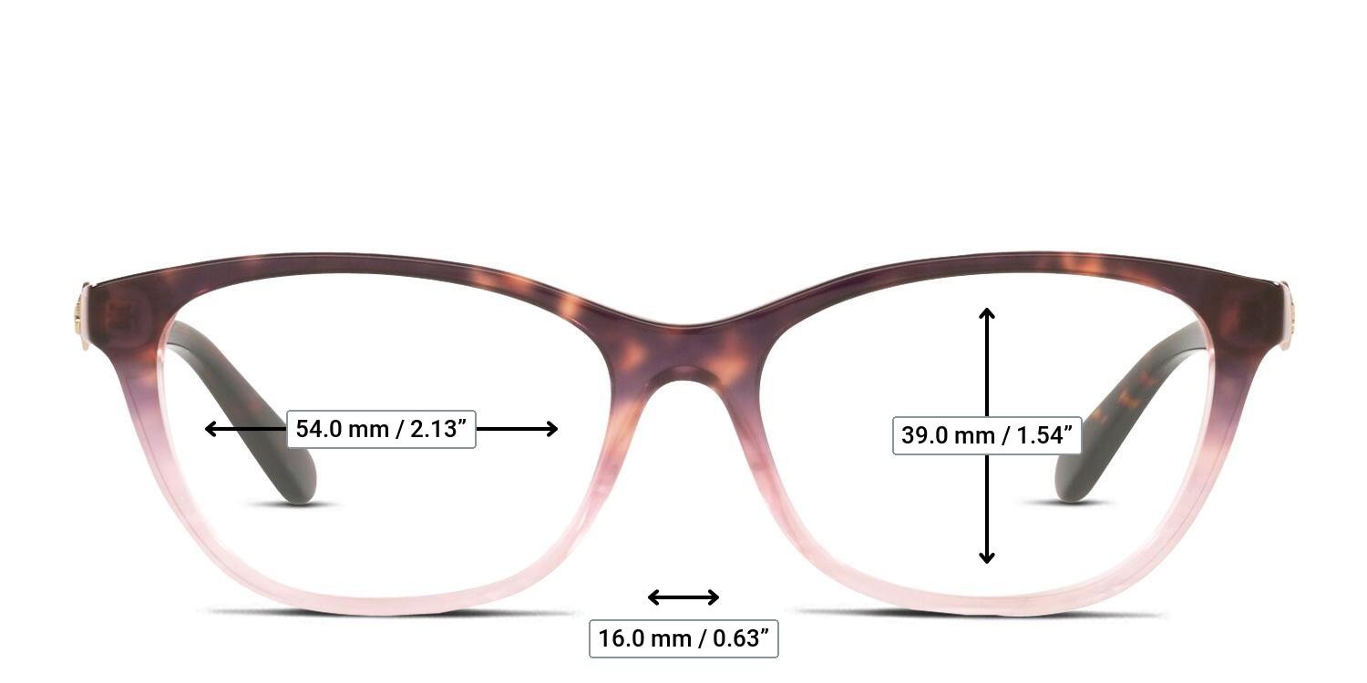 Coach HC6180 Tortoise, Pink glasses - Measurements