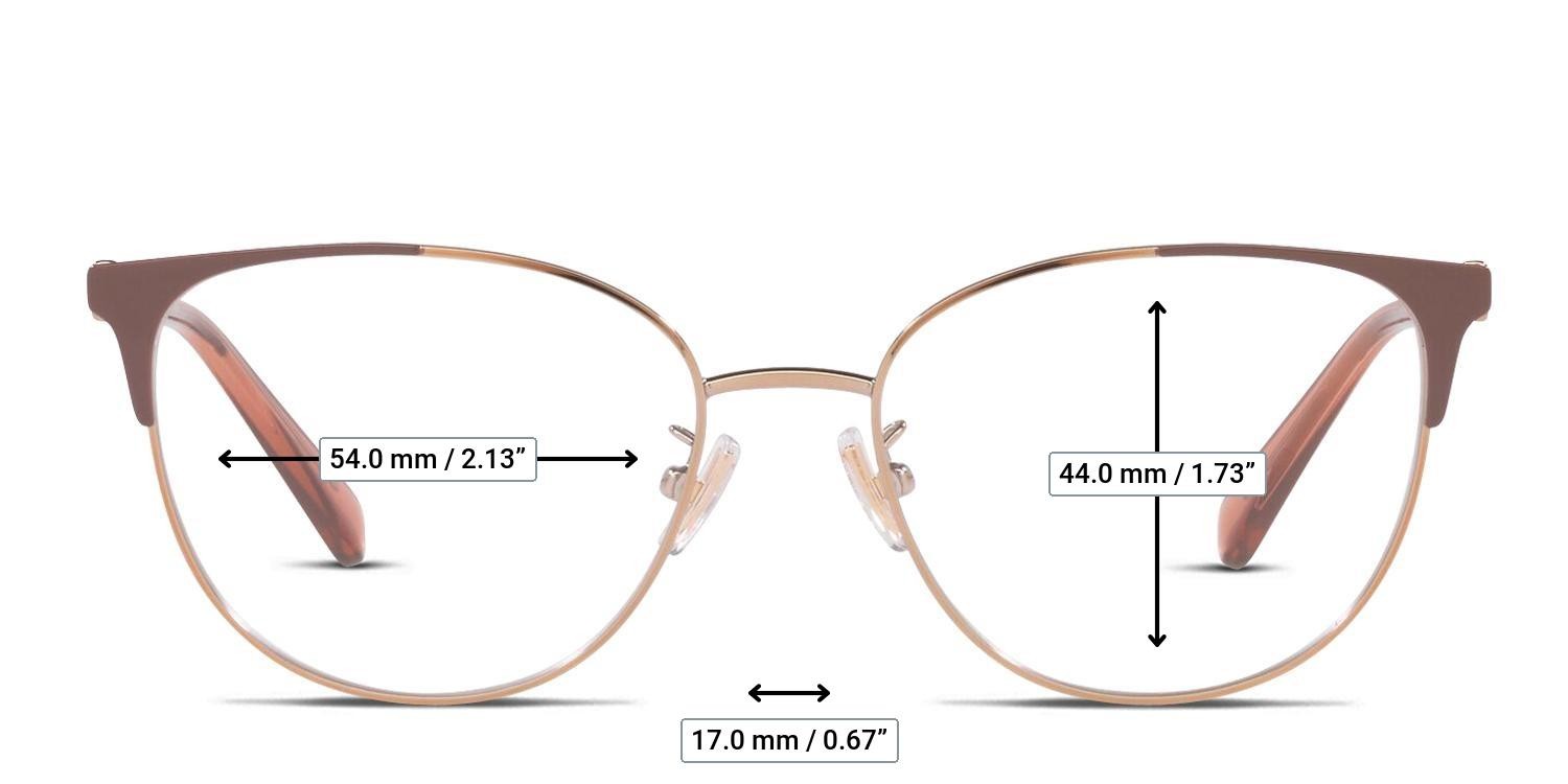 Coach HC5148 Gold, Purple glasses - Measurements