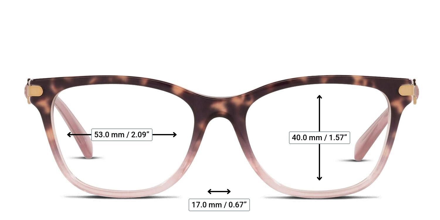 Coach HC6176 Tortoise, Pink, Rose Gold glasses - Measurements