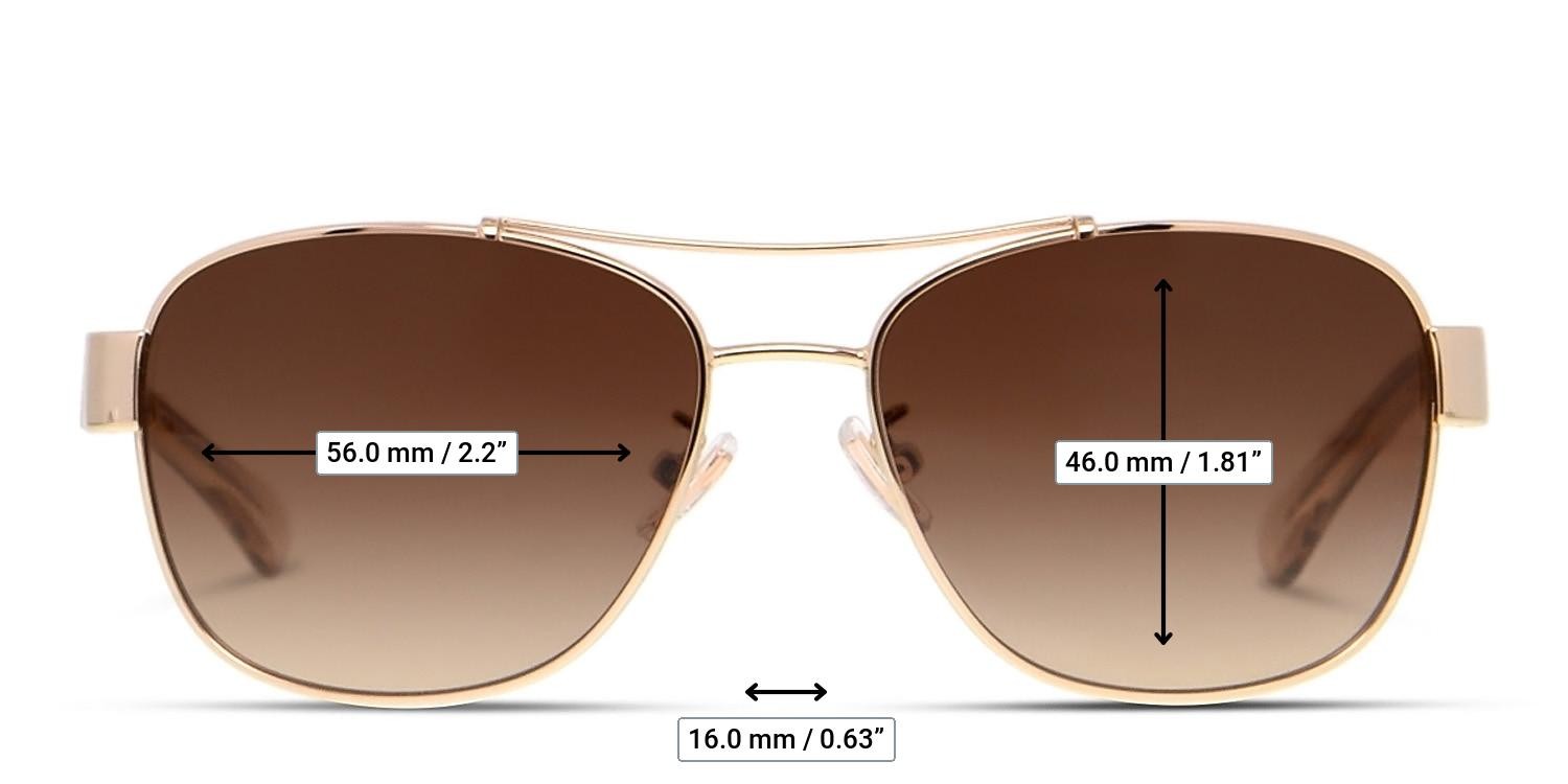 Coach HC7064 Gold w/Clear glasses - Measurements