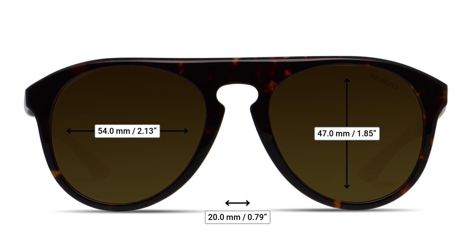 Champion Adjust Tortoise, Brown glasses - Measurements