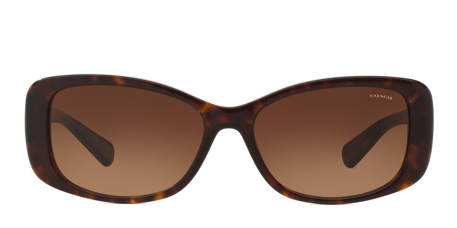 Coach HC8168 Brown, Tortoise glasses - Brown / Tortoise - Frontal View