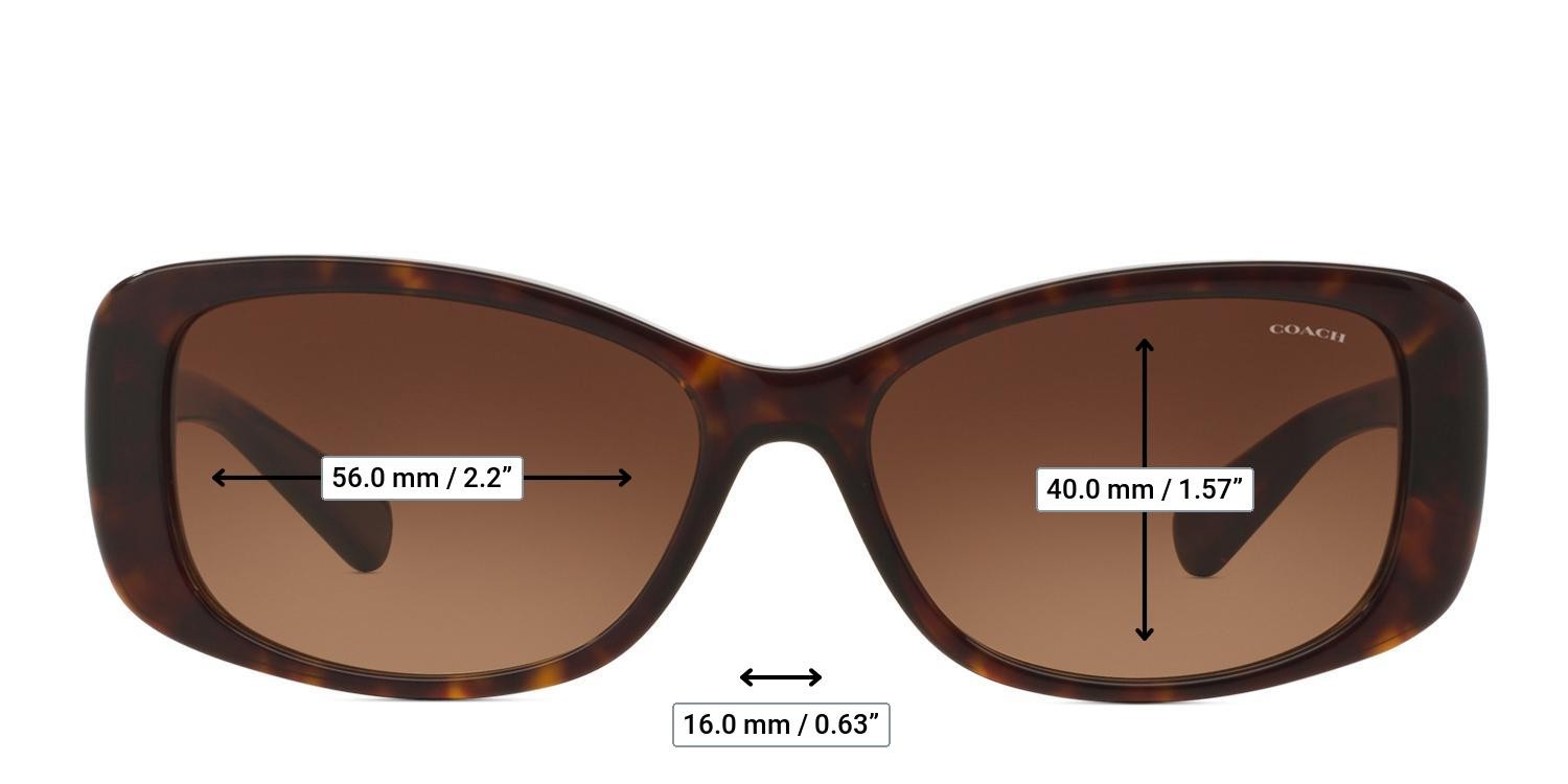 Coach HC8168 Brown, Tortoise glasses - Measurements