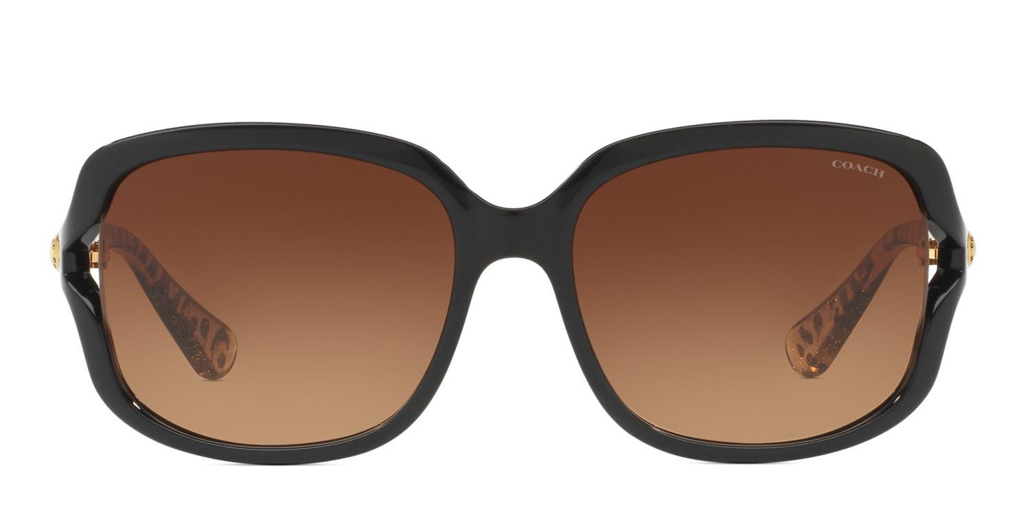 Coach HC8169 Black/Brown/Tortoise glasses - Black / Brown / Tortoise - Frontal View