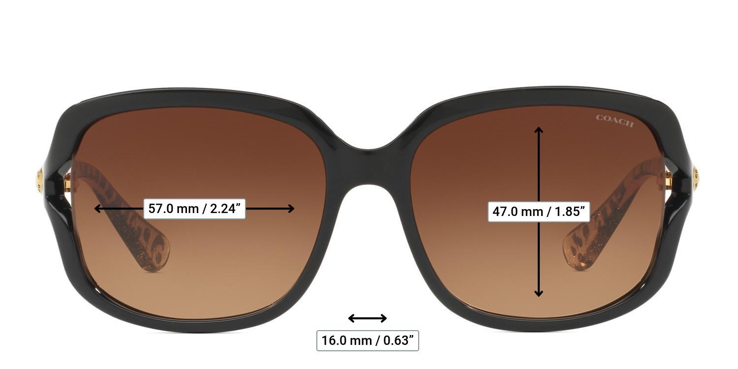 Coach HC8169 Black/Brown/Tortoise glasses - Measurements