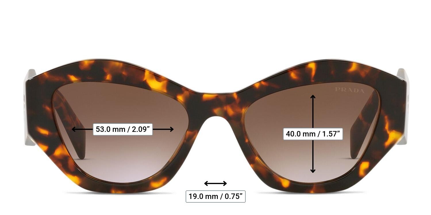 Prada PR 07YS Tortoise glasses - Measurements