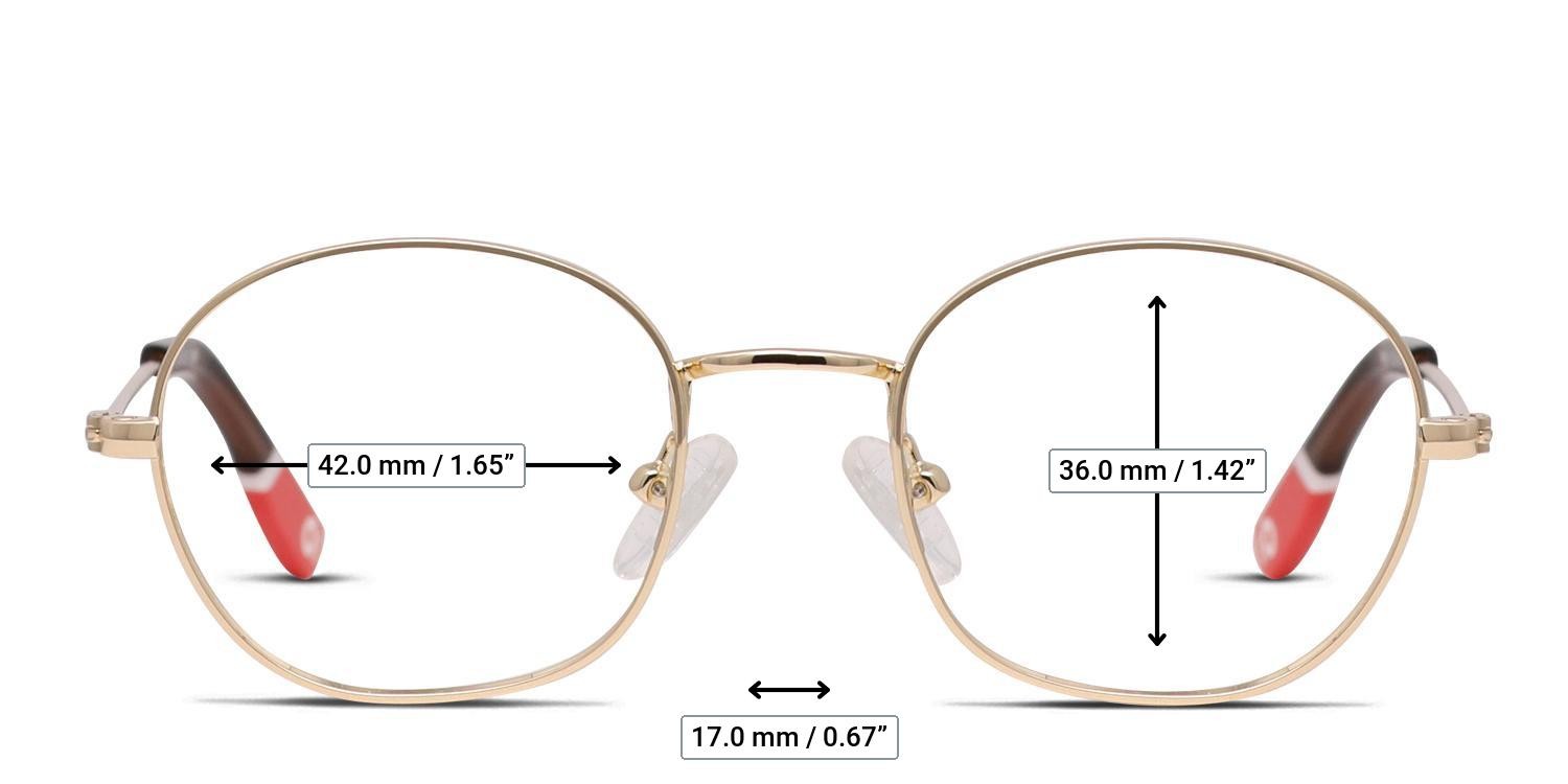 Olos Academic Kids Gold glasses - Measurements