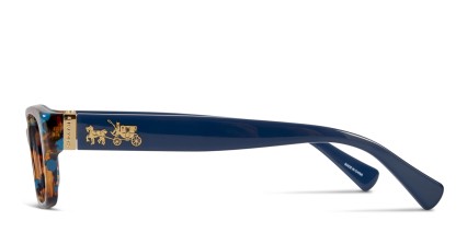 Coach HC6078 Teal Tortoise glasses - Blue / Tortoise - Side View
