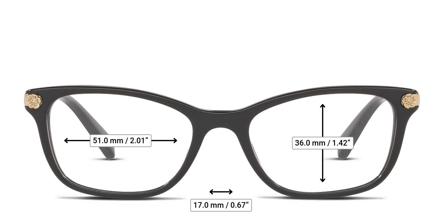 Coach HC6142 Black glasses - Measurements
