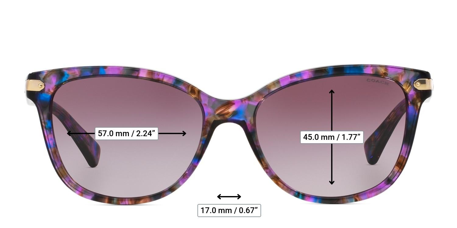 Coach HC8132 Purple, Multicolor glasses - Measurements