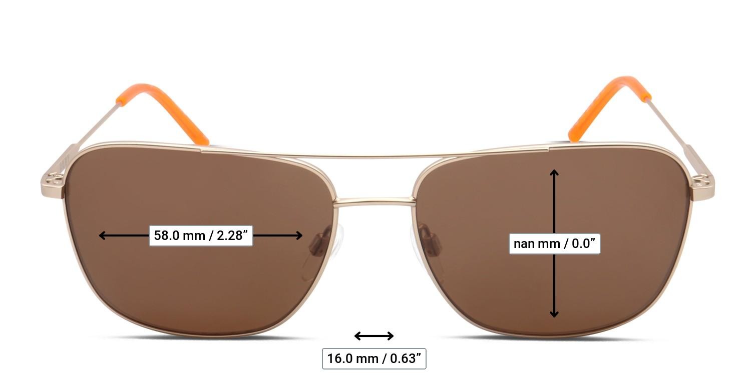 DKNY DK113S Gold, Brown glasses - Measurements