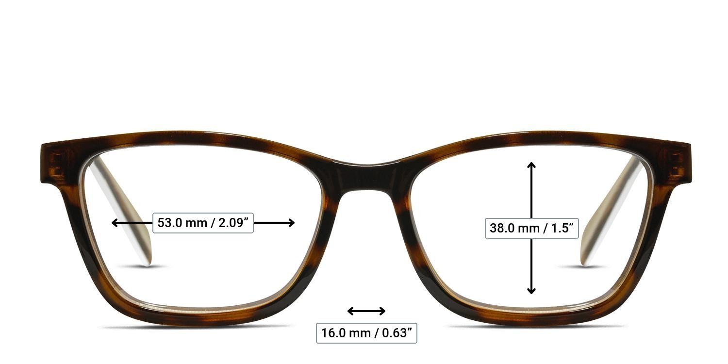 Wiley X Serenity Tortoise glasses - Measurements