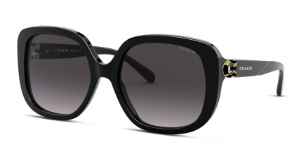 Coach HC8292 Black , Gray glasses - Black / Gray - Angle View