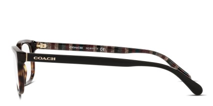 Coach HC6174 Brown, Tortoise glasses - Brown / Tortoise - Side View