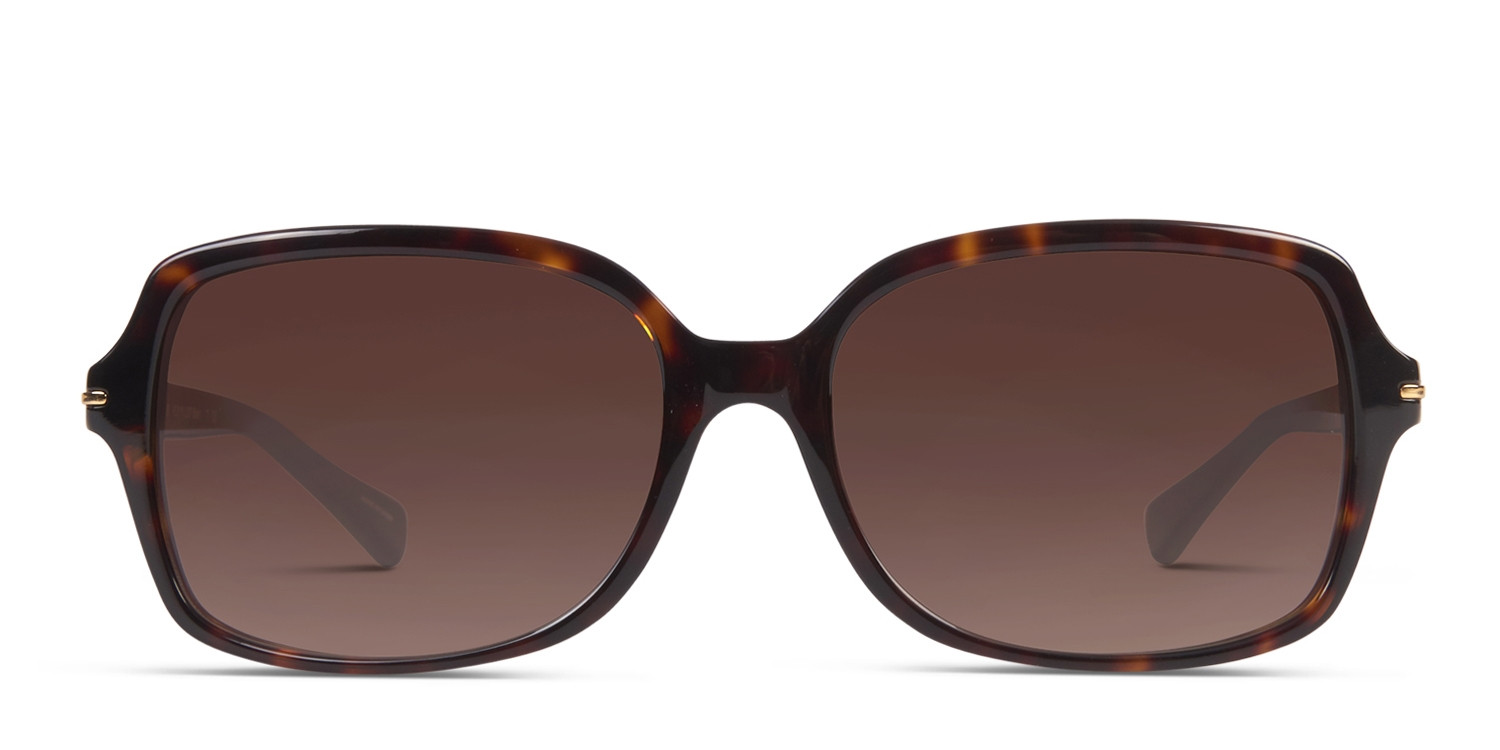 Coach HC8116 Blair glasses - Tortoise - Frontal View