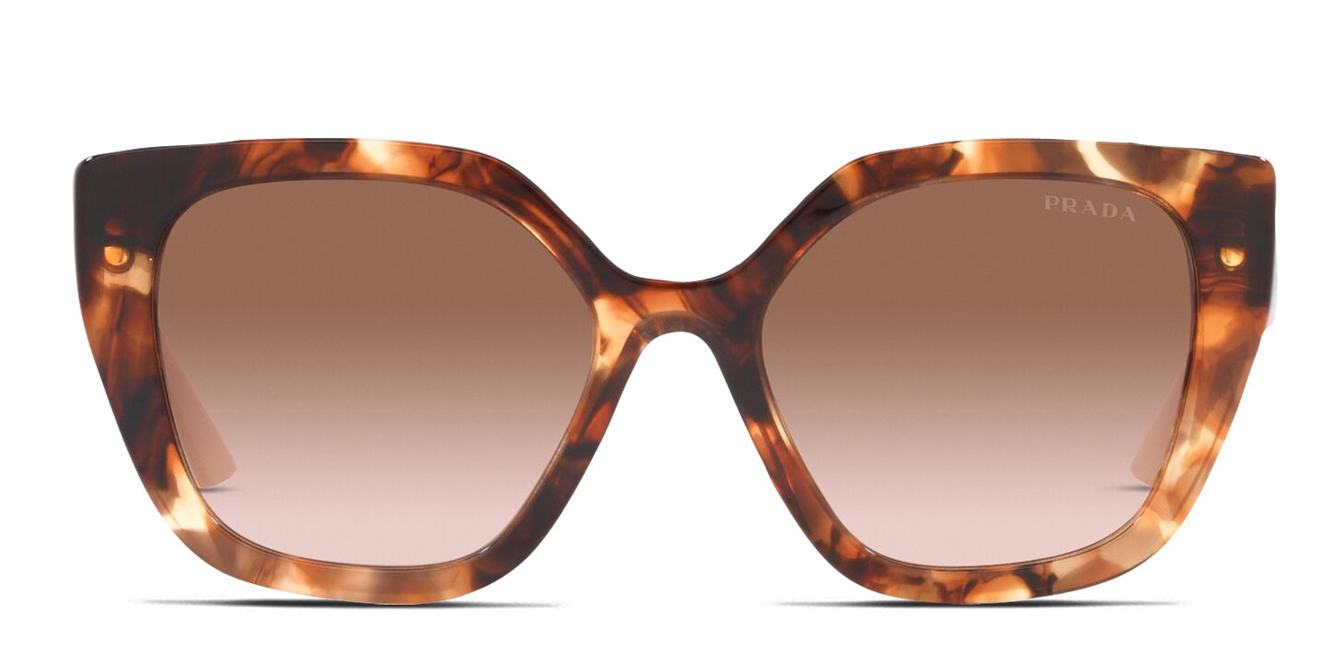 Prada PR24XS Brown , Tortoise glasses - Brown / Tortoise - Frontal View