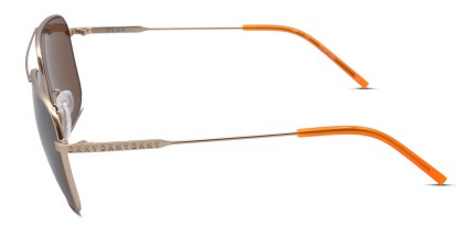 DKNY DK113S Gold, Brown glasses - Gold / Brown - Side View