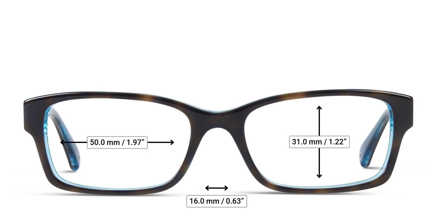 Coach HC6040 Brooklyn Tortoise, Blue glasses - Measurements