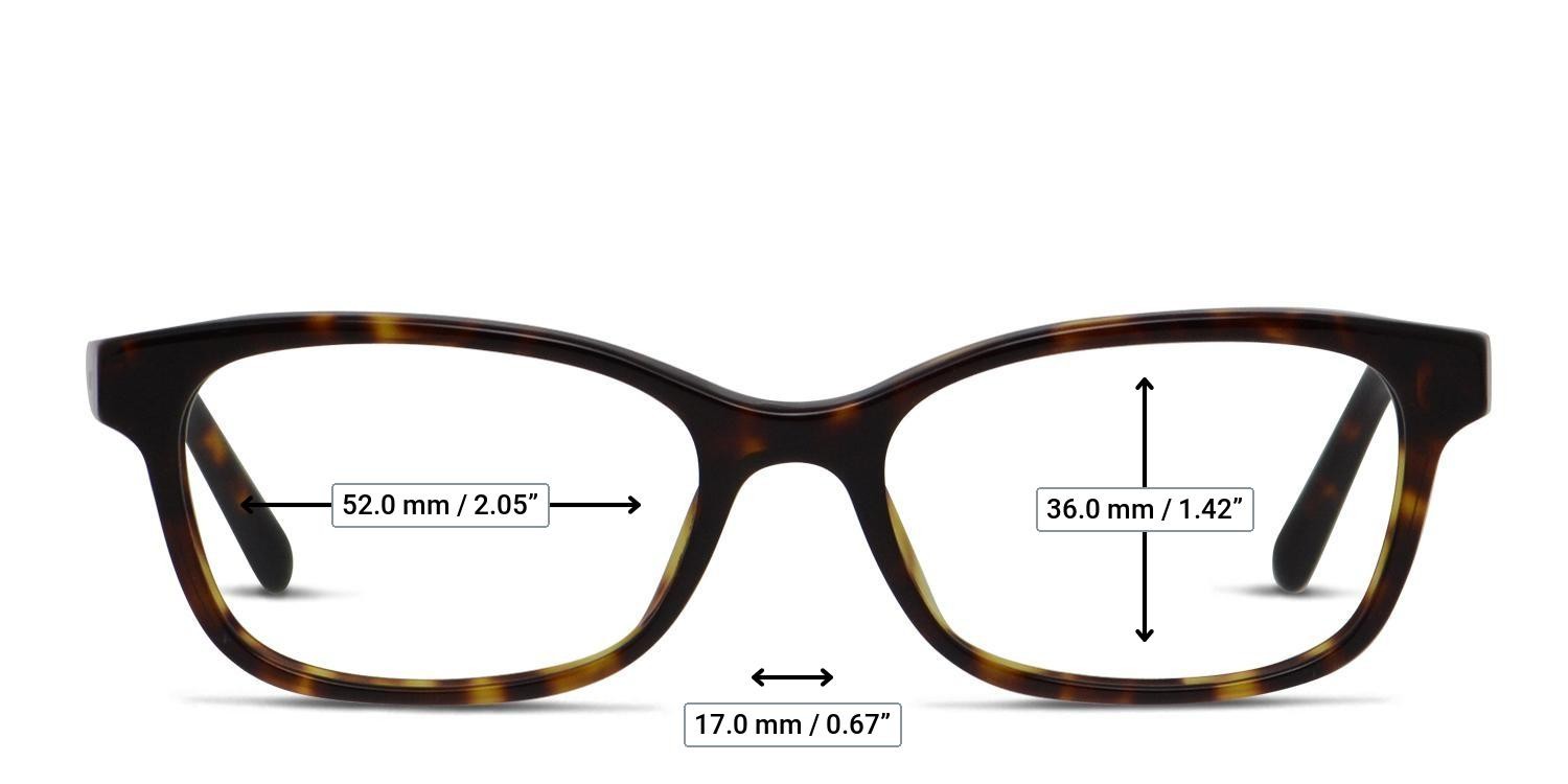 Burberry 0BE2201 Tortoise glasses - Measurements
